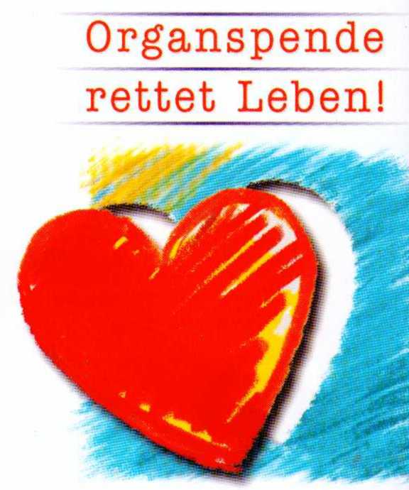 Zweites Leben